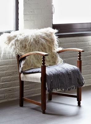 Casa Rustica en los Paises Bajos