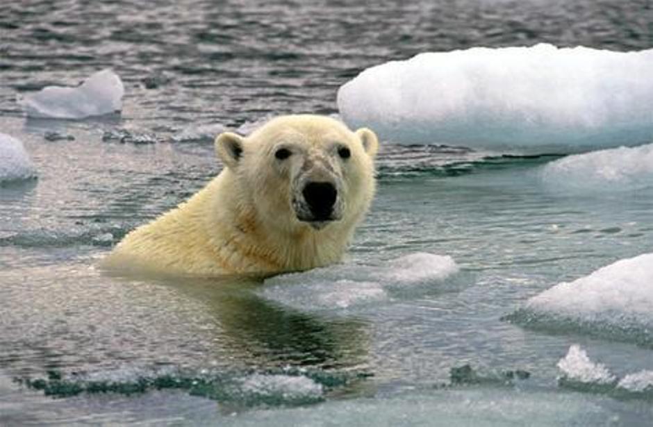 EL ÁRTICO SE DERRITE