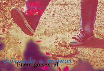 VAE: 03. Enemigo sexual.