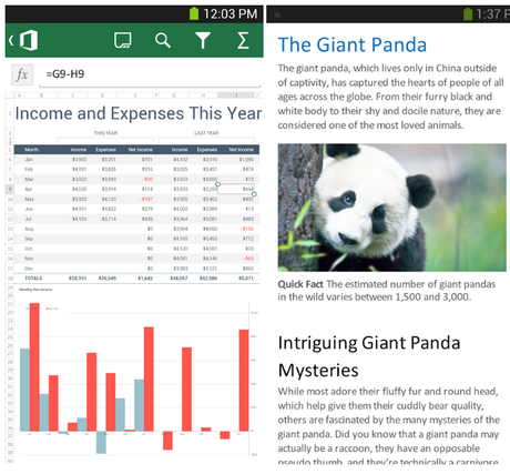 Microsoft Office Mobile-2 Microsoft Office Mobile-3