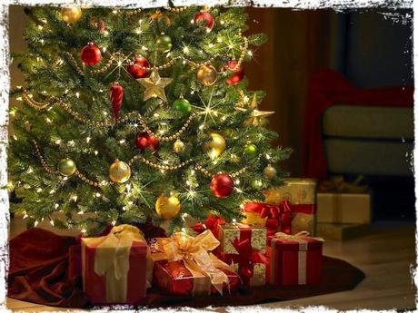 ¡Llegó el momento!