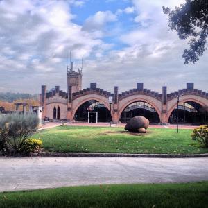 Celler Jaume Codorníu