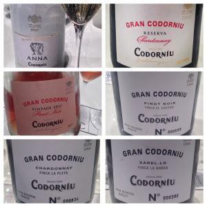 Los Cavas catados durante la visita