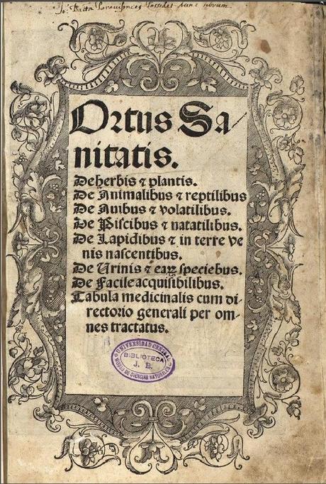 Imagen reproducida de la Biblioteca Digital del Real Jardín Botánico de Madrid (CSIC) Imagen reproducida de la Biblioteca Digital del Real Jardín Botánico de Madrid (CSIC)