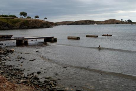 LA NOSTALGIA ES UN ERROR…