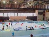 deportistas países participarán campeonato sudamericano adulto gimnasia artística