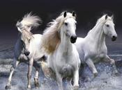 Soñar caballos