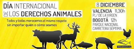 NUEVO MENÚ VEGANO PARA CELEBRACIONES
