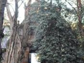 Finca Riosequillo Concha Villaescusa.