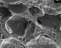 Crean Bioparche que regenera el Tejido Oseo