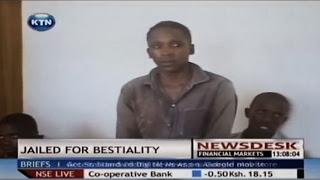 Juez de Kenia cita al juicio a una cabra víctima de acoso sexual