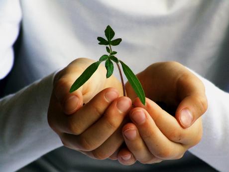 VITALIS llama al voto consciente sin perder de vista lo ambiental