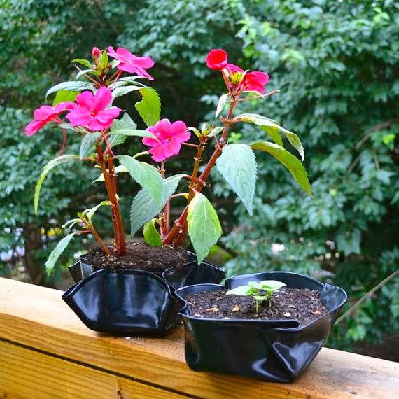 macetas-con-discos-de-vinilo