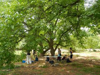 De Marrakech al valle Aït Bouguemez