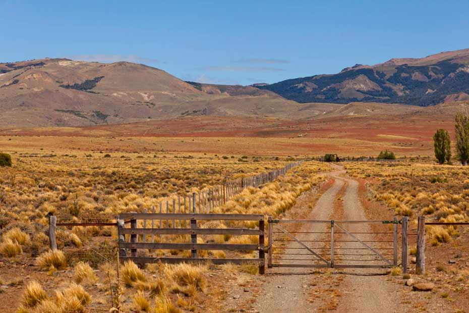 Recorriendo la Ruta Nacional 40: de Cabo Vírgenes a Esquel.