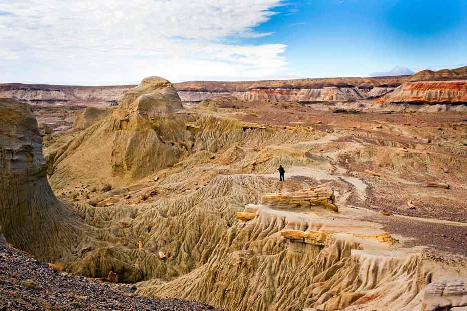 Recorriendo la Ruta Nacional 40: de Cabo Vírgenes a Esquel.