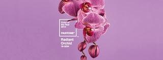 Purple Rain