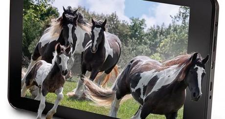 Hammacher Schlemmer lanza tablet 3D sin lentes