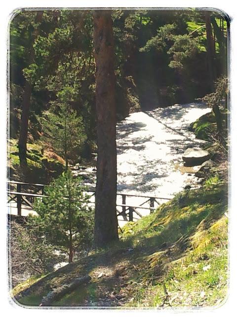 Sábado de sensaciones: desconexión