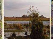 Brillos naturaleza, esteros corazón provincia Corrientes
