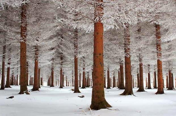 Las más bellas imágenes del invierno. 20 fotos.