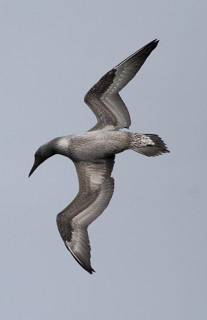 Salida a marinas con Seo Betsaide