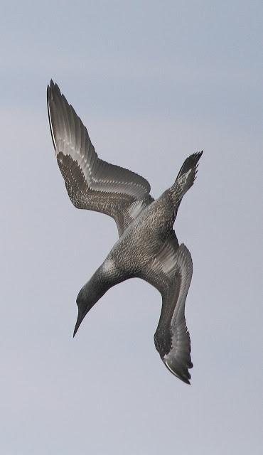 Salida a marinas con Seo Betsaide
