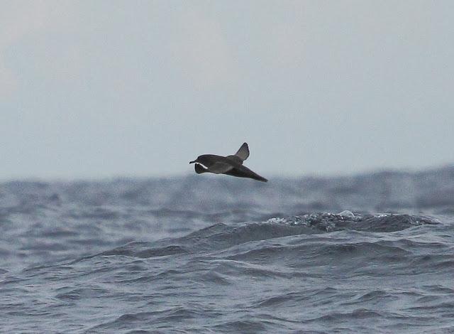 Salida a marinas con Seo Betsaide