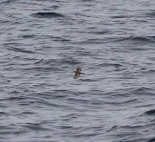 Salida a marinas con Seo Betsaide