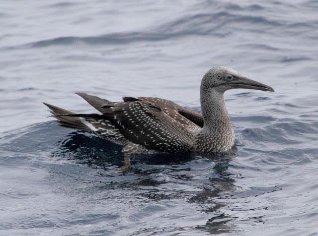 Salida a marinas con Seo Betsaide