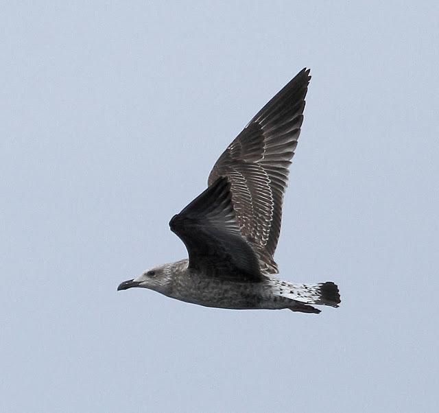 Salida a marinas con Seo Betsaide