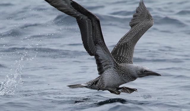 Salida a marinas con Seo Betsaide