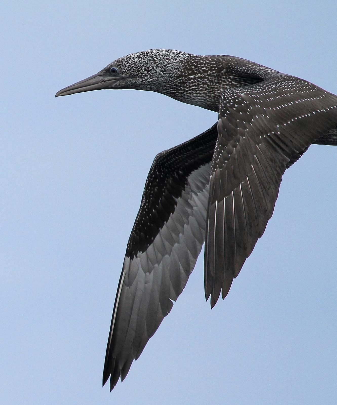 Salida a marinas con Seo Betsaide