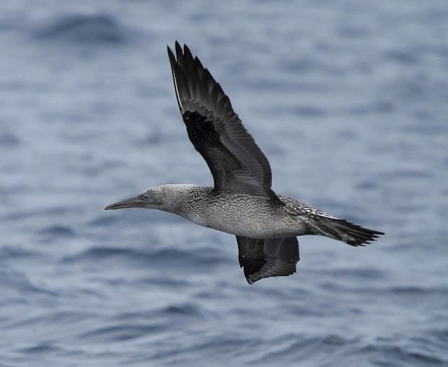 Salida a marinas con Seo Betsaide