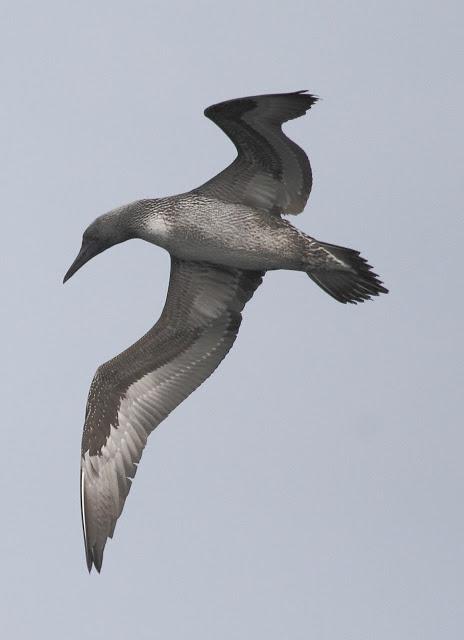Salida a marinas con Seo Betsaide