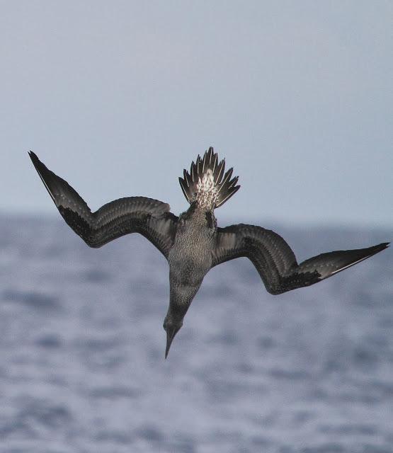 Salida a marinas con Seo Betsaide