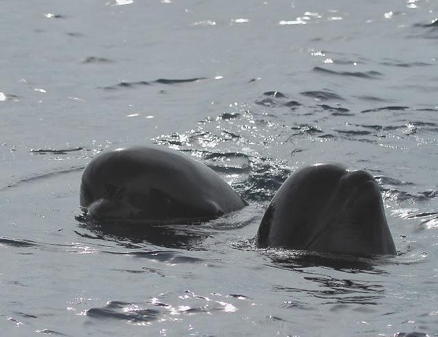 Salida a marinas con Seo Betsaide