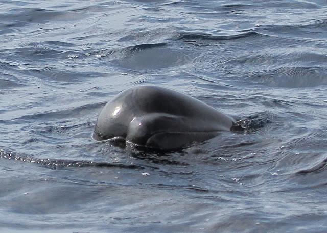 Salida a marinas con Seo Betsaide