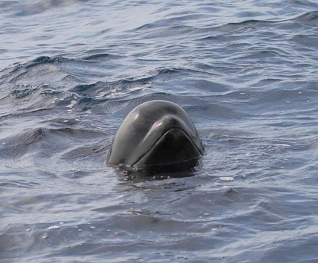 Salida a marinas con Seo Betsaide