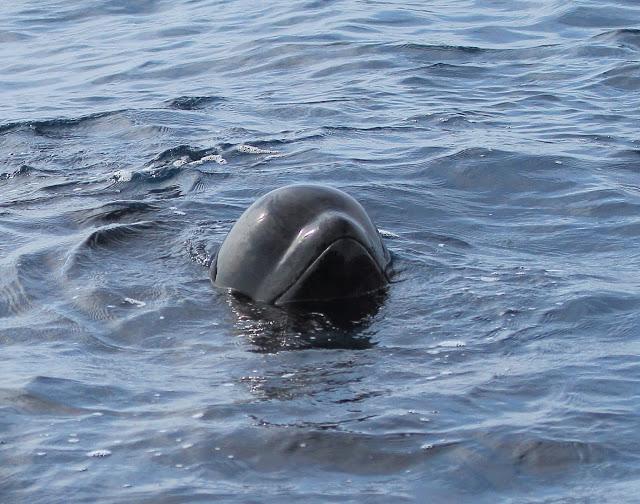 Salida a marinas con Seo Betsaide