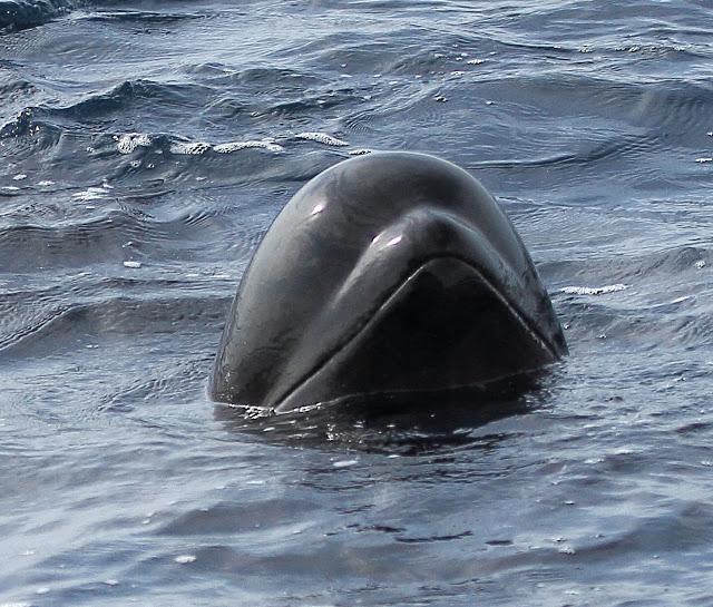 Salida a marinas con Seo Betsaide