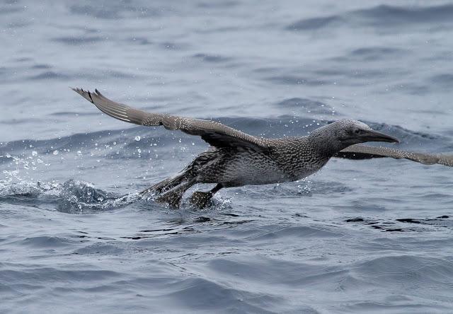 Salida a marinas con Seo Betsaide