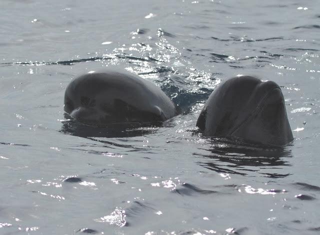 Salida a marinas con Seo Betsaide