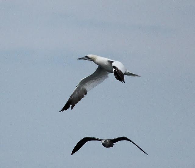 Salida a marinas con Seo Betsaide