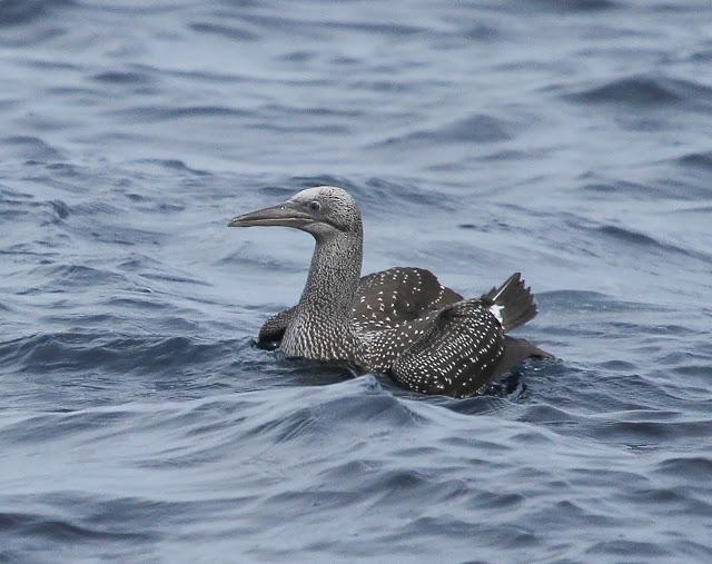Salida a marinas con Seo Betsaide