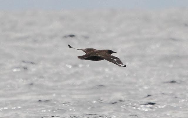 Salida a marinas con Seo Betsaide