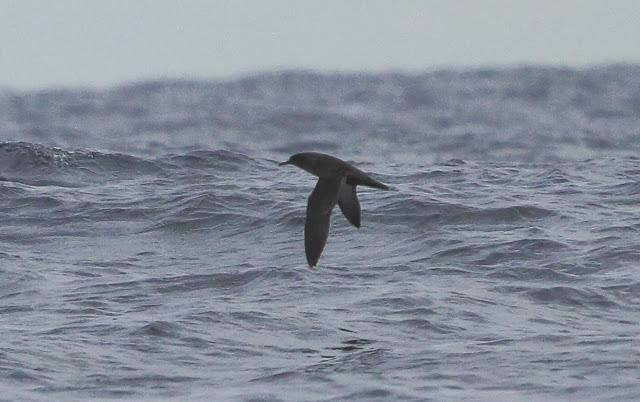 Salida a marinas con Seo Betsaide