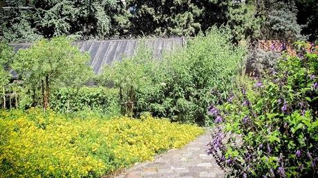 MI BLOG ES CO2 NEUTRAL :-) MI BLOG ES CO2 NEUTRAL :-)