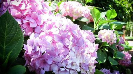 MI BLOG ES CO2 NEUTRAL :-) MI BLOG ES CO2 NEUTRAL :-)