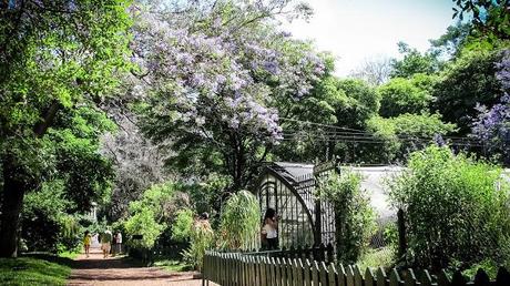 MI BLOG ES CO2 NEUTRAL :-) MI BLOG ES CO2 NEUTRAL :-)